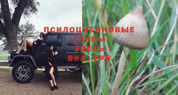 ECSTASY Балабаново