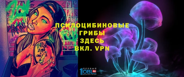 ECSTASY Балабаново