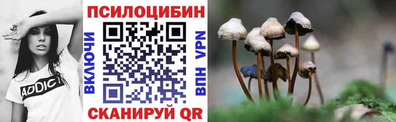 Галлюциногенные грибы мицелий  Шагонар 